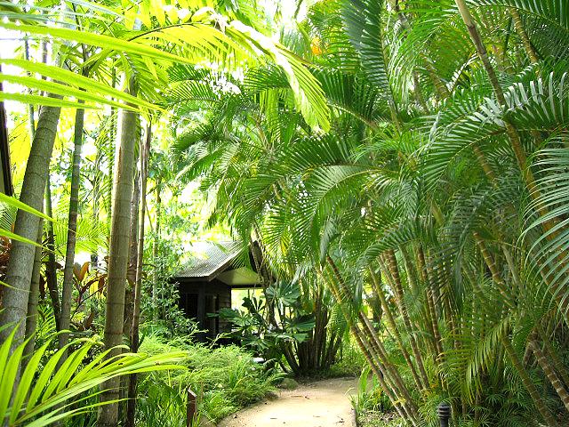A 457 Kewarra Beach Resort.jpg